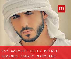 gay Calvert Hills (Prince Georges County, Maryland)