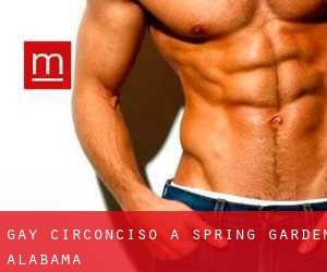 Gay Circonciso a Spring Garden (Alabama)