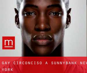 Gay Circonciso a Sunnybank (New York)