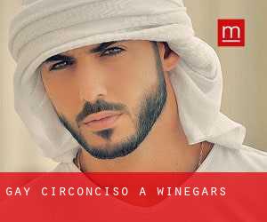 Gay Circonciso a Winegars