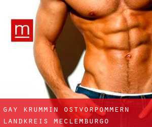 gay Krummin (Ostvorpommern Landkreis, Meclemburgo-Pomerania Anteriore)