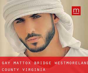 gay Mattox Bridge (Westmoreland County, Virginia)