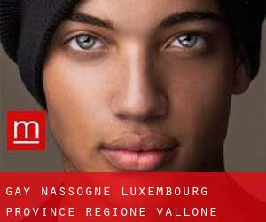 gay Nassogne (Luxembourg Province, Regione Vallone)