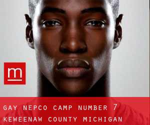 gay Nepco Camp Number 7 (Keweenaw County, Michigan)