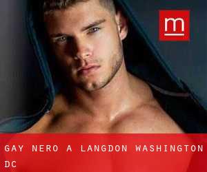 Gay Nero a Langdon (Washington, D.C.)
