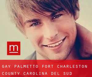 gay Palmetto Fort (Charleston County, Carolina del Sud)