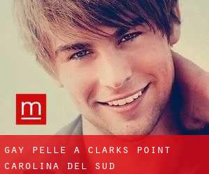 Gay Pelle a Clarks Point (Carolina del Sud)