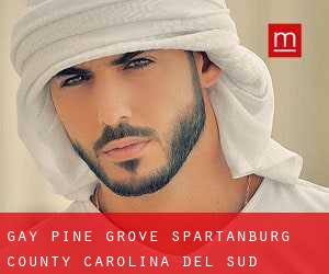 gay Pine Grove (Spartanburg County, Carolina del Sud)
