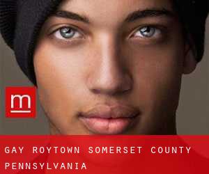gay Roytown (Somerset County, Pennsylvania)