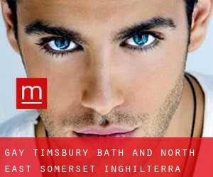 gay Timsbury (Bath and North East Somerset, Inghilterra)