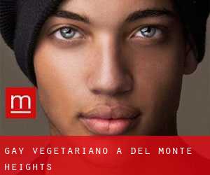 Gay Vegetariano a Del Monte Heights