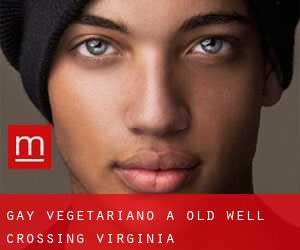 Gay Vegetariano a Old Well Crossing (Virginia)