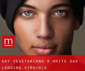 Gay Vegetariano a White Oak Landing (Virginia)