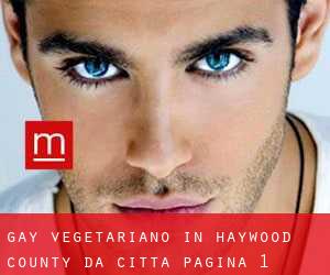 Gay Vegetariano in Haywood County da città - pagina 1