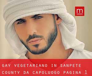 Gay Vegetariano in Sanpete County da capoluogo - pagina 1