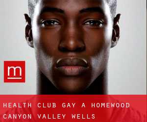 Health Club Gay a Homewood Canyon-Valley Wells