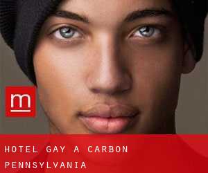 Hotel Gay a Carbon (Pennsylvania)