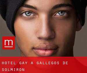 Hotel Gay a Gallegos de Solmirón
