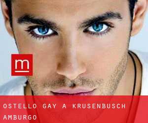 Ostello Gay a Krusenbusch (Amburgo)