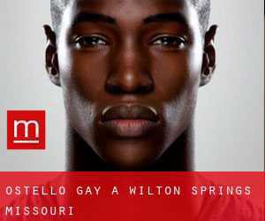 Ostello Gay a Wilton Springs (Missouri)