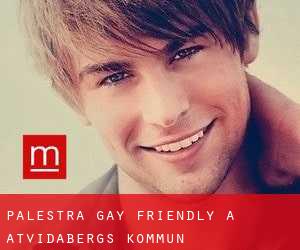 Palestra Gay Friendly a Åtvidabergs Kommun
