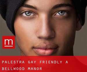 Palestra Gay Friendly a Bellwood Manor