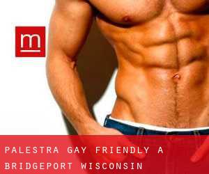 Palestra Gay Friendly a Bridgeport (Wisconsin)