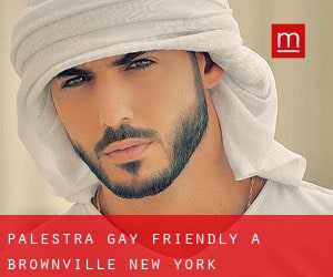 Palestra Gay Friendly a Brownville (New York)