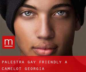 Palestra Gay Friendly a Camelot (Georgia)