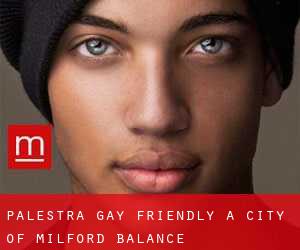 Palestra Gay Friendly a City of Milford (balance)