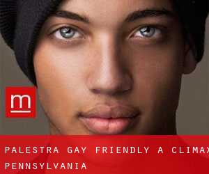 Palestra Gay Friendly a Climax (Pennsylvania)