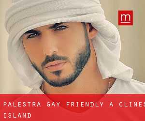 Palestra Gay Friendly a Clines Island