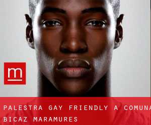 Palestra Gay Friendly a Comuna Bicaz (Maramureş)