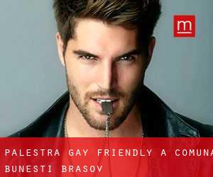 Palestra Gay Friendly a Comuna Buneşti (Braşov)