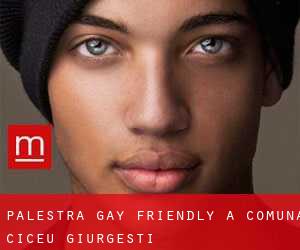 Palestra Gay Friendly a Comuna Ciceu-Giurgeşti