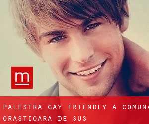 Palestra Gay Friendly a Comuna Orăştioara de Sus