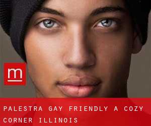 Palestra Gay Friendly a Cozy Corner (Illinois)