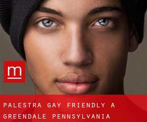 Palestra Gay Friendly a Greendale (Pennsylvania)