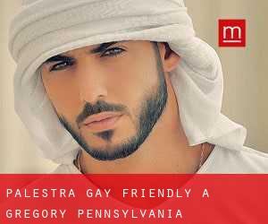 Palestra Gay Friendly a Gregory (Pennsylvania)