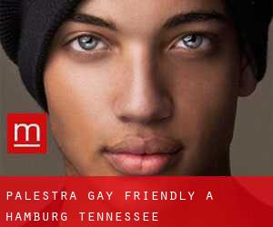 Palestra Gay Friendly a Hamburg (Tennessee)