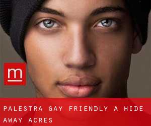Palestra Gay Friendly a Hide Away Acres
