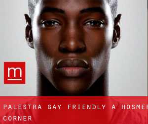 Palestra Gay Friendly a Hosmer Corner