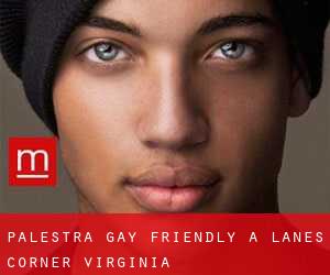 Palestra Gay Friendly a Lanes Corner (Virginia)