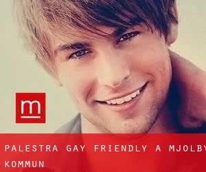 Palestra Gay Friendly a Mjölby Kommun