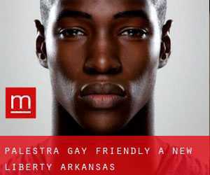 Palestra Gay Friendly a New Liberty (Arkansas)