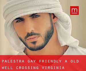 Palestra Gay Friendly a Old Well Crossing (Virginia)