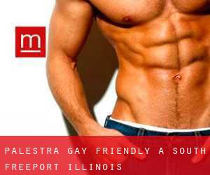 Palestra Gay Friendly a South Freeport (Illinois)