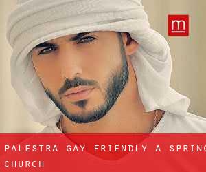 Palestra Gay Friendly a Spring Church