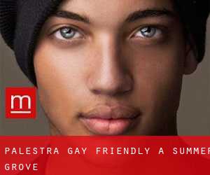 Palestra Gay Friendly a Summer Grove