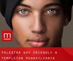 Palestra Gay Friendly a Templeton (Pennsylvania)